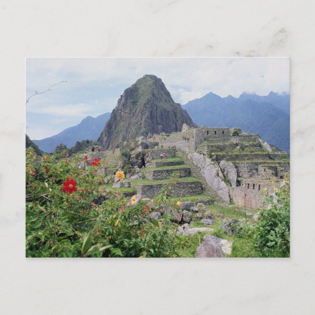 Machu Picchu, Peru Postcard (Front)