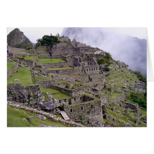 machu view cards (Front Horizontal)