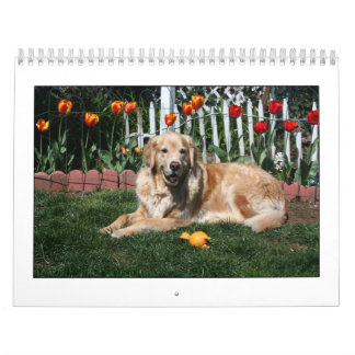 Mack and Friends 2011 Calendar