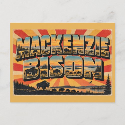 Mackenzie Bison NT Taiga Plains Sanctuary Art Postcard