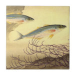 Mackerel Fish Swimming in the Ocean Ceramic Tile