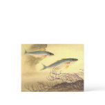 Mackerel Fish Swimming in the Ocean Postcard
