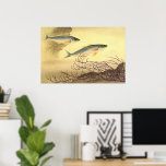 Mackerel Fish Swimming in the Ocean Poster