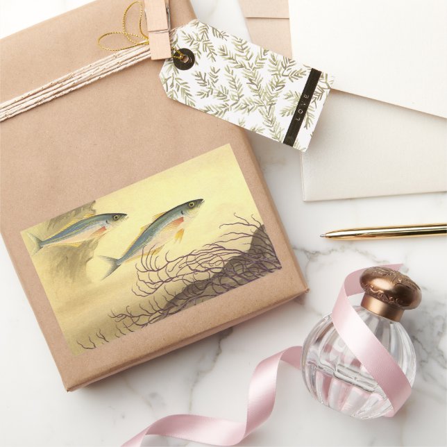 Mackerel Fish Swimming in the Ocean Rectangular Sticker (Gifting)