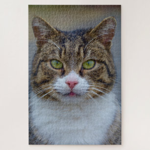 mackerel tabby cat puzzle
