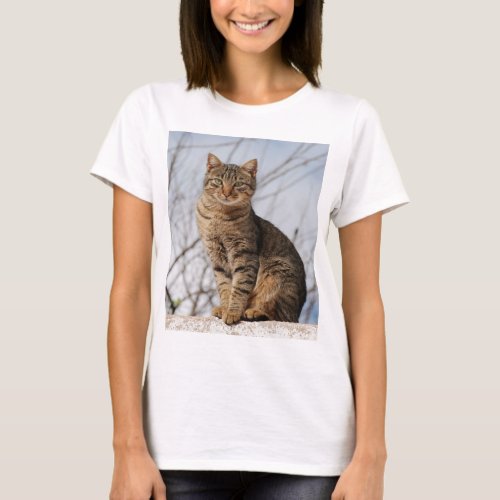 Mackerel Tabby Cat Womens T_Shirt