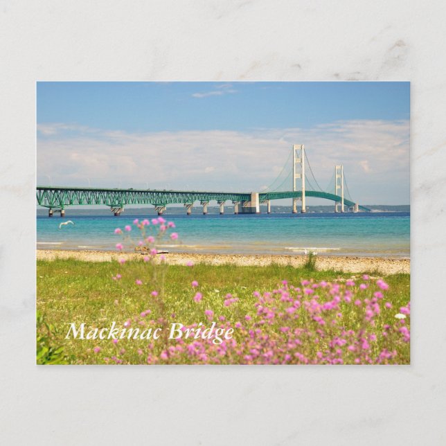 Mackinac Bridge "The Big Mac" Postcard (Front)