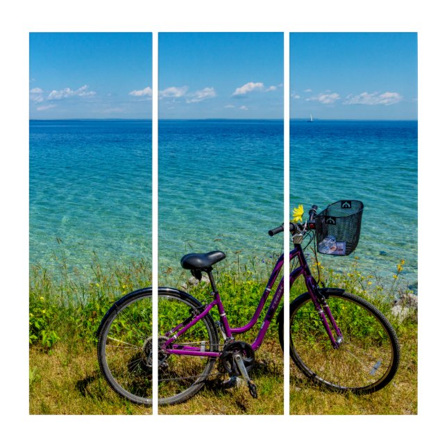 Mackinac Island Bike Triptych (Front)