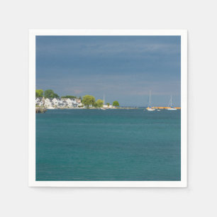 Mackinac Island Harbor Paper Napkins
