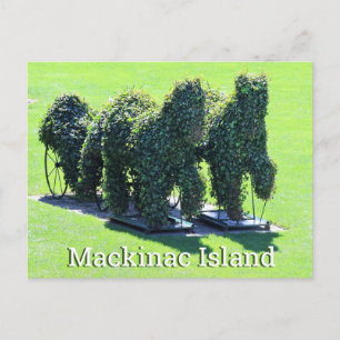 Mackinac Island Michigan Postcard