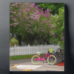 Mackinac Main Street Plaque<br><div class="desc">street, mackinac, island, michigan, bike, flowers, michiale, schneider, photography</div>