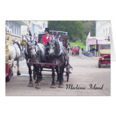 Mackinaw Island Series (Front Horizontal)