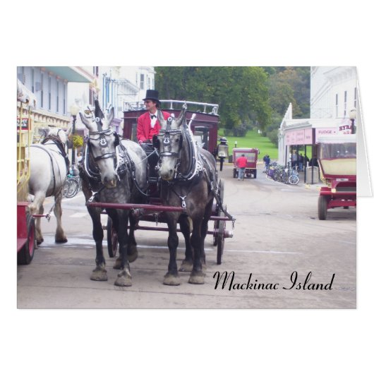 Mackinaw Island Series Cards (Front Horizontal)