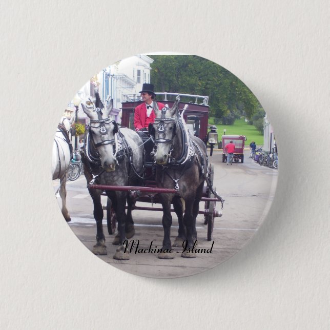 Mackinaw Island Series Pinback Button (Front)