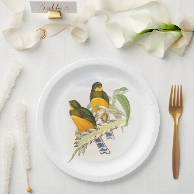 Macklot’s Trogon, Paper Plates (Wedding)