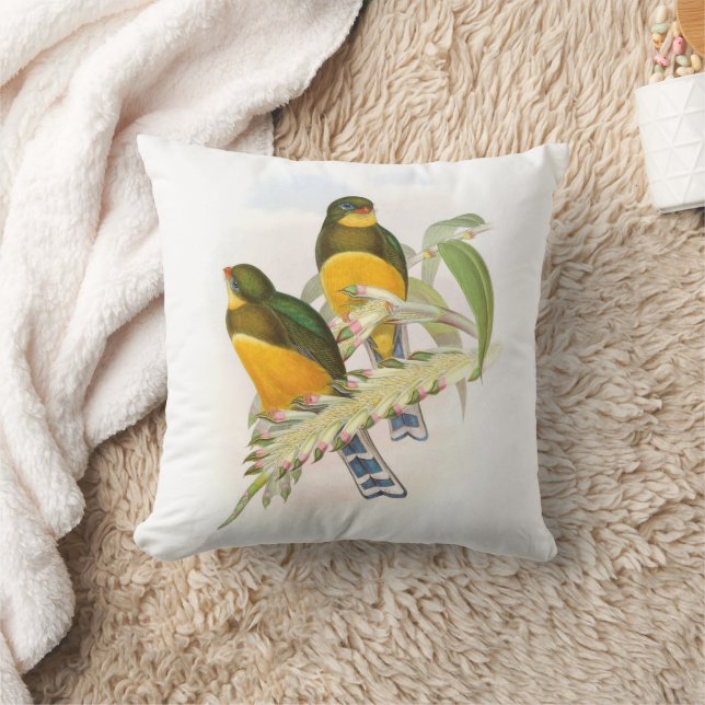 Macklot’s Trogon,   Throw Pillow (Blanket)