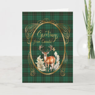 MacLean Hunting Scottish Tartan Greetings Holiday Card