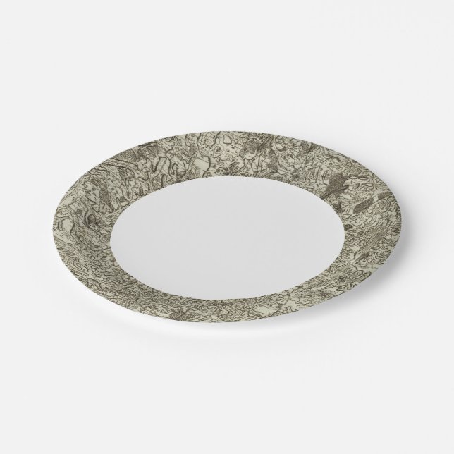 Macon Paper Plates (Angled)