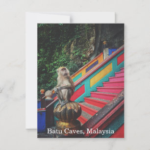 Macque Monkey at Batu Caves, Malaysia Travel Postcard