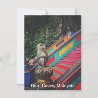Macque Monkey at Batu Caves, Malaysia Travel Postcard