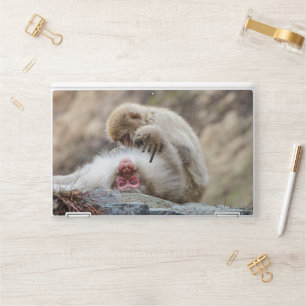 Macque Monkey, Enjoying the Good Life HP Laptop Skin