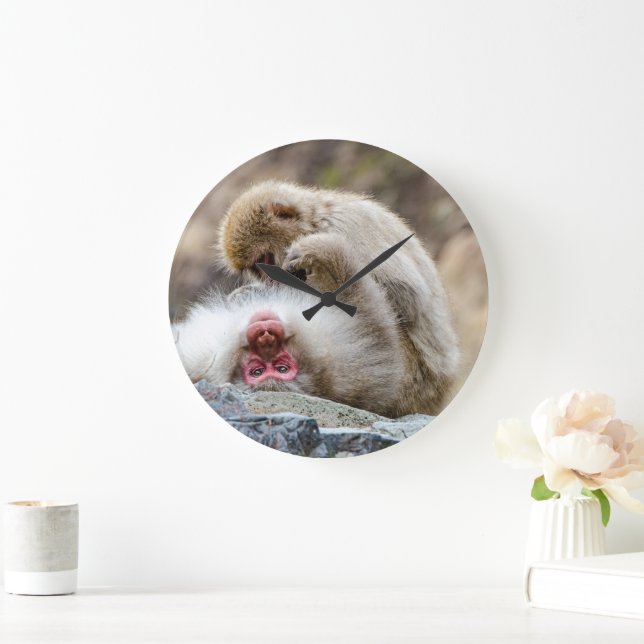Macque Monkey, Japanese Animal Photography Large Clock (Home)