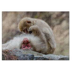 Macque Monkey, Japanese Monkey Photography Cutting Board