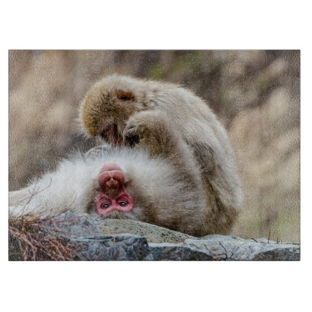 Macque Monkey, Japanese Monkey Photography Cutting Board (Front)