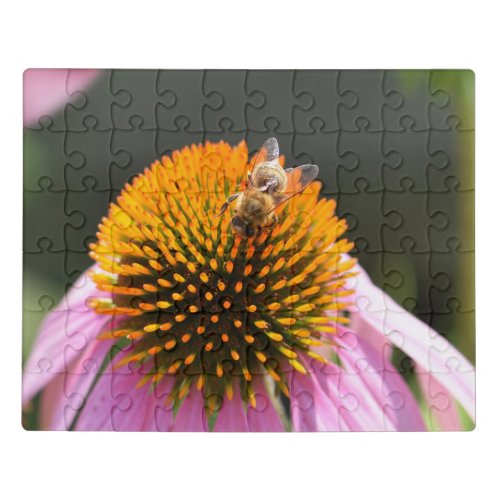 Macro bee perched on a pink cone flower  jigsaw puzzle