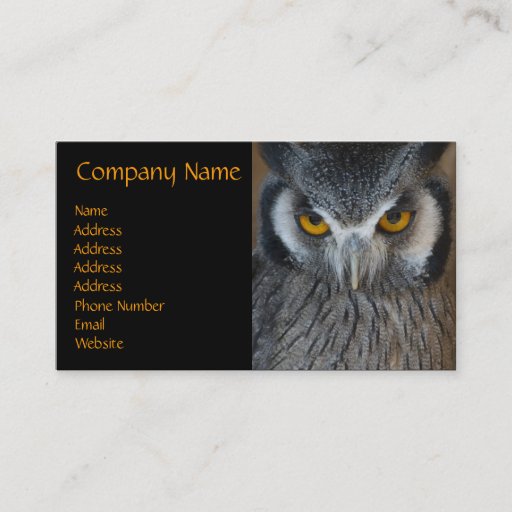 Customizable Macro Black and White Owl Business Card