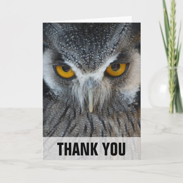 Macro Black and White Owl Thank You Card (Front)
