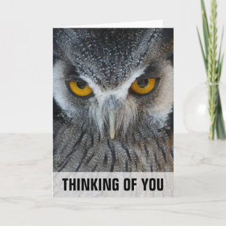 Macro Black and White Owl Thinking Of You Card