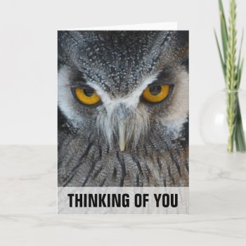 Macro Black And White Owl Thinking Of You Card by PhotographyByPixie at Zazzle