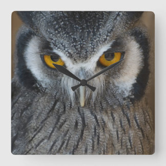 Macro Black and White Scops Owl Square Wall Clock