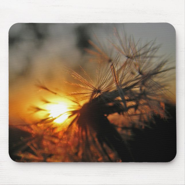 Macro Dandelion Sunset Mousepad (Front)
