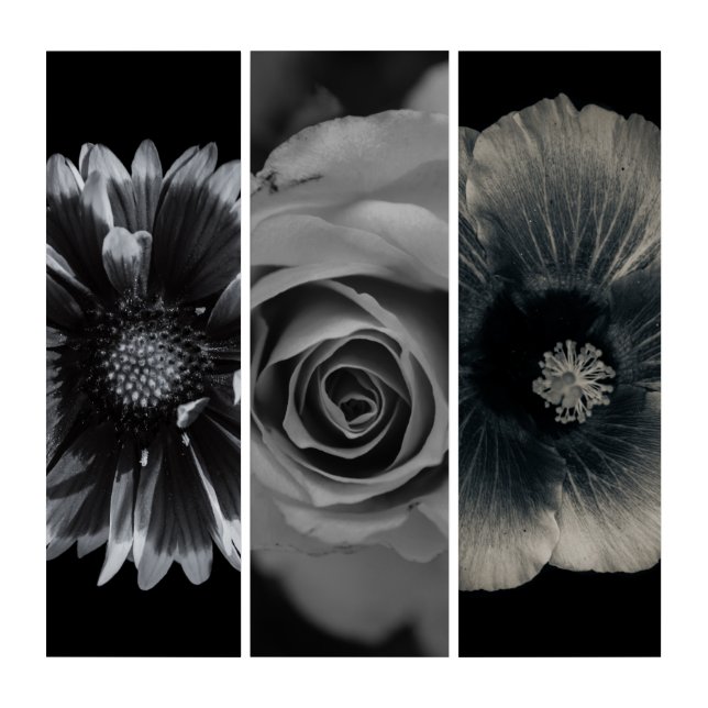 Macro Flower Photography Triptych (Front)