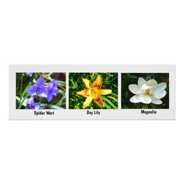 Macro flowers Photo Enlargement (Front)