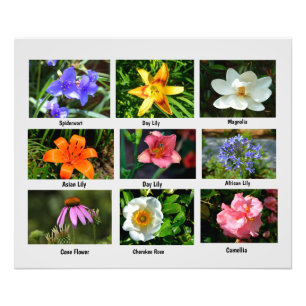 Macro flowers Photo Enlargement Print