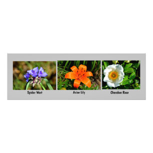 Macro flowers Photo Enlargement Print