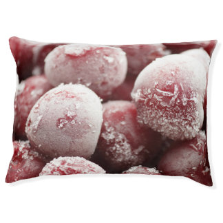 Macro frozen berries, closeup texture. pet bed