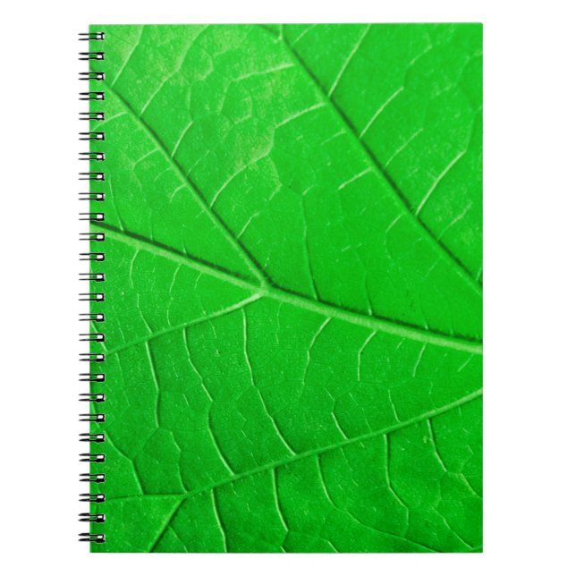 Macro green leaf ecology plant background notebook (Front)