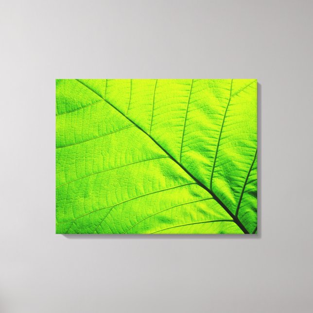 Macro Green Leaf Wrapped Canvas Print (Front)