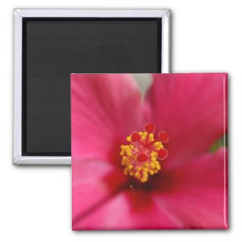 Macro Hibiscus Magnet by pulsDesign at Zazzle