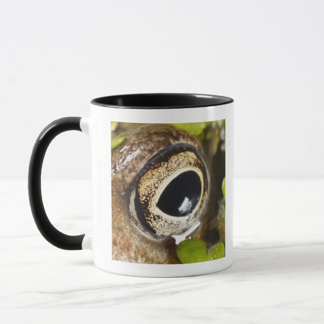 Macro; Horizontal; Colour; Color; Nobody Mug (Left)