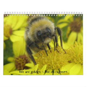 Macro Insects Calendar