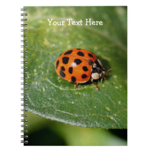 Macro Ladybug Nature Notebook