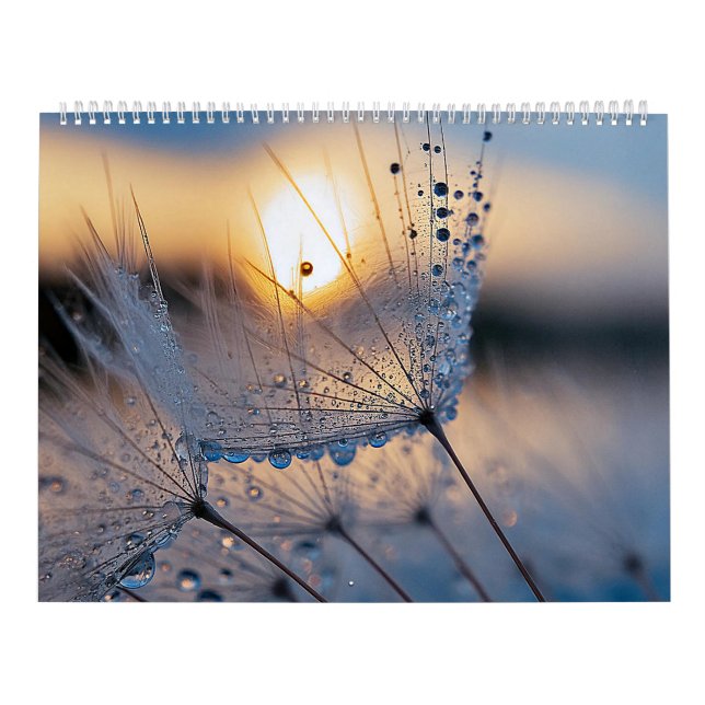 Macro nature photos calendar (Cover)