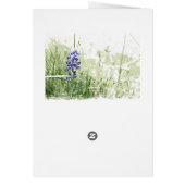Macro of bluebonnet cards (Back)