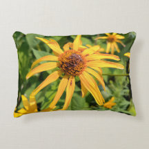 Macro of False Sunflowers