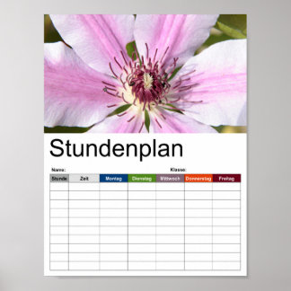 Macro of white and purple Clematis Poster